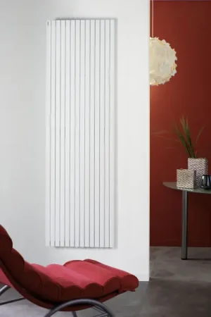 Affaire À Saisir Radiateur tubulaire Acova Altaï ACAHYD-200-026
